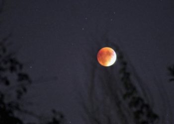 4 Zodiac Signs Set for Major Growth During October’s Harvest Supermoon