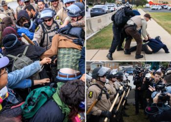 4 protesters arrested outside Chicago DHS facility in more anti-ICE chaos: report