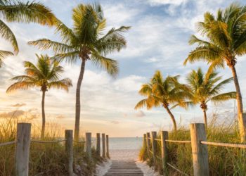 I’ve lived in Florida for over 25 years and always tell tourists to visit these 7 spots
