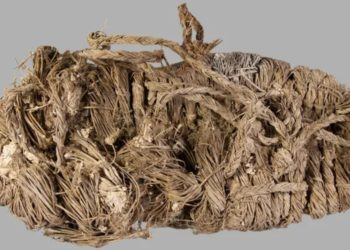 750-Year-Old Shoe Among Human Artifacts Found in Ancient Vulture Nests