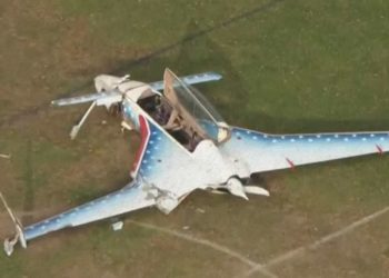 A Deaf Woman Survived Being Hit by a Plane While Walking Her Dog