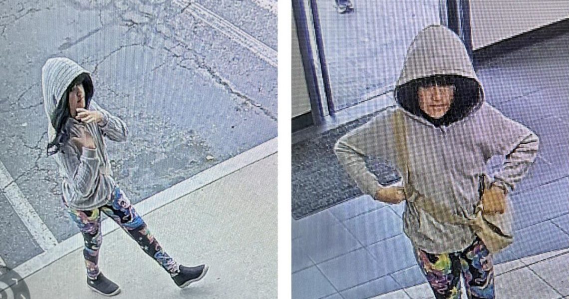 A mysterious road trip, a young girl in a wig: New clues emerge in Melodee Buzzard’s disappearance