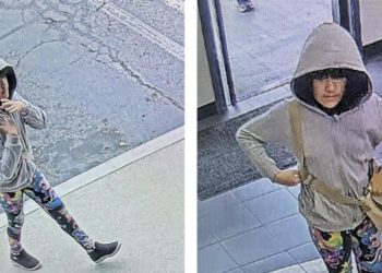 A mysterious road trip, a young girl in a wig: New clues emerge in Melodee Buzzard’s disappearance