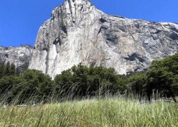Admired climber dies in fall from Yosemite’s El Capitan during apparent live-stream