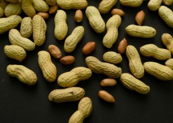 Advice to feed babies peanuts early and often helped 60,000 kids avoid allergies, study finds