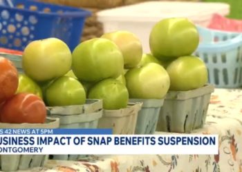 Alabama business owners brace for impact over SNAP program suspension