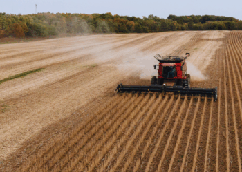 America’s quietest crop is set to take center stage in Trump–Xi talks