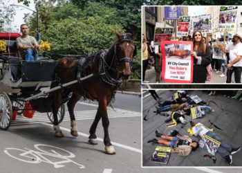 Animal rights group NYCLASS spends millions to ban horse carriages in Big Apple