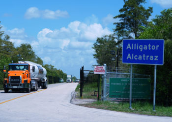 Appellate court pauses lawsuit over Everglades detention center due to government shutdown