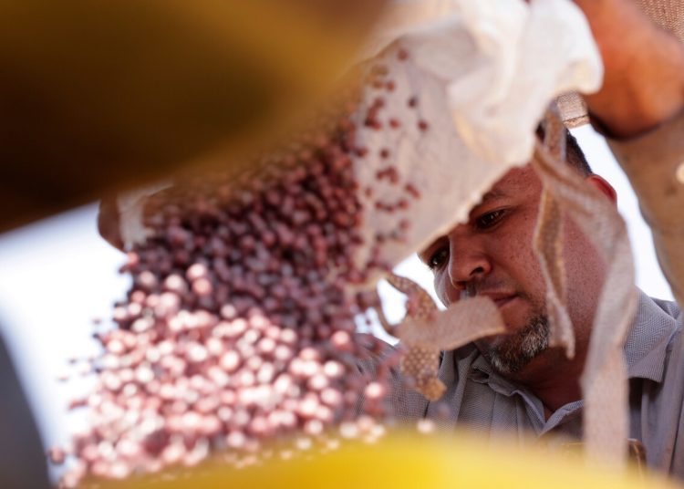 Brazilian farmers beef up soybean production as China halts business with US during trade fight