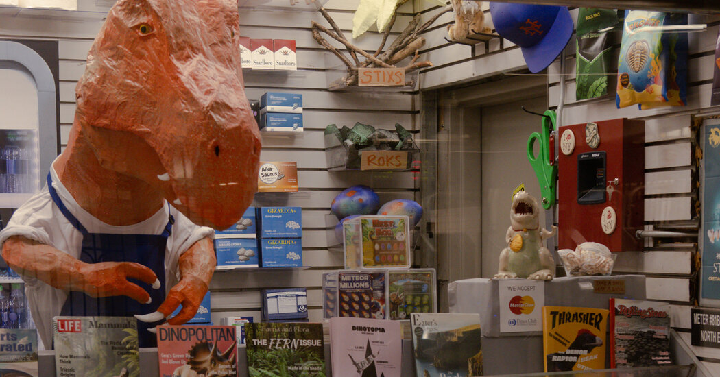 Bringing New Life to Empty Subway Shops