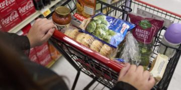 California, other states sue Trump admin over SNAP benefit cutoff