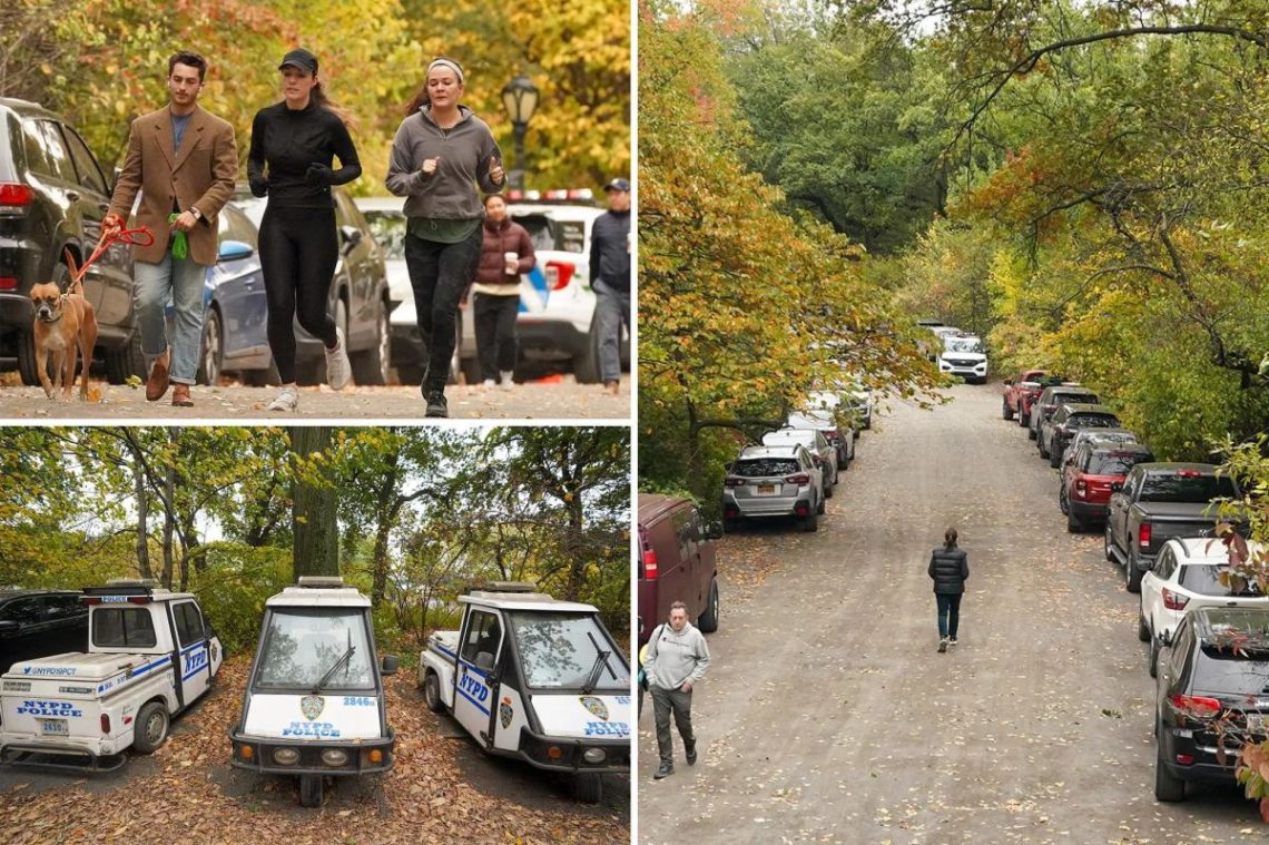 Central Park trail becomes Central parking lot for NYC workers, official cars