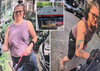 Chicago woman smearing dog poop on Trump-themed Cybertruck caught on camera