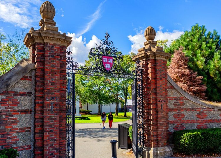 Conservative Harvard students expose fear of academic reprisal, social shunning over right-wing beliefs