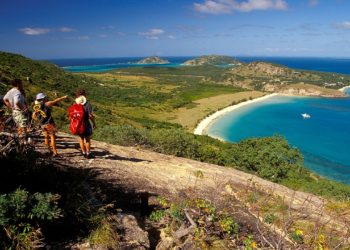 Cruise ship allegedly leaves 80-year-old woman behind on island, daughter demands answers after death