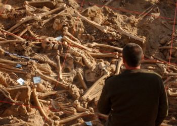 DNA reveals the diseases that devastated Napoleon’s doomed army