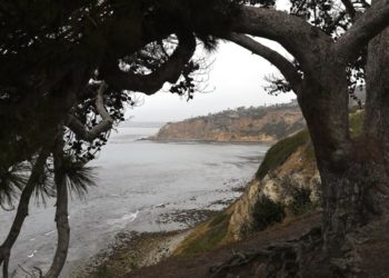 Dead body found at base of Palos Verdes Estates cliffs for second time in two months