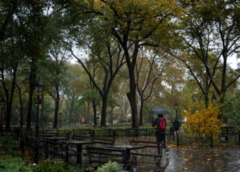 Deadly Drugs Sold in Washington Square Park and on the Web, U.S. Says
