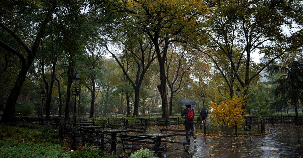 Deadly Drugs Sold in Washington Square Park and on the Web, U.S. Says