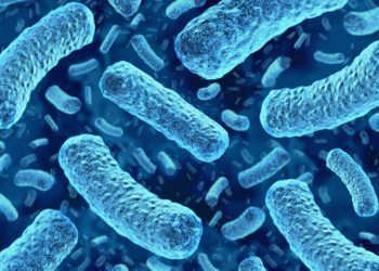 Deadly Listeria Outbreak Linked to Walmart, Trader Joe’s Meals