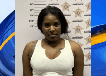 Decatur woman out on bond for drug trafficking charge accused of leading officer on chase with kids in car