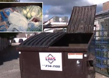 Defunct Long Island supermarket cited after allegedly leaving rotting food in dumpster for over week