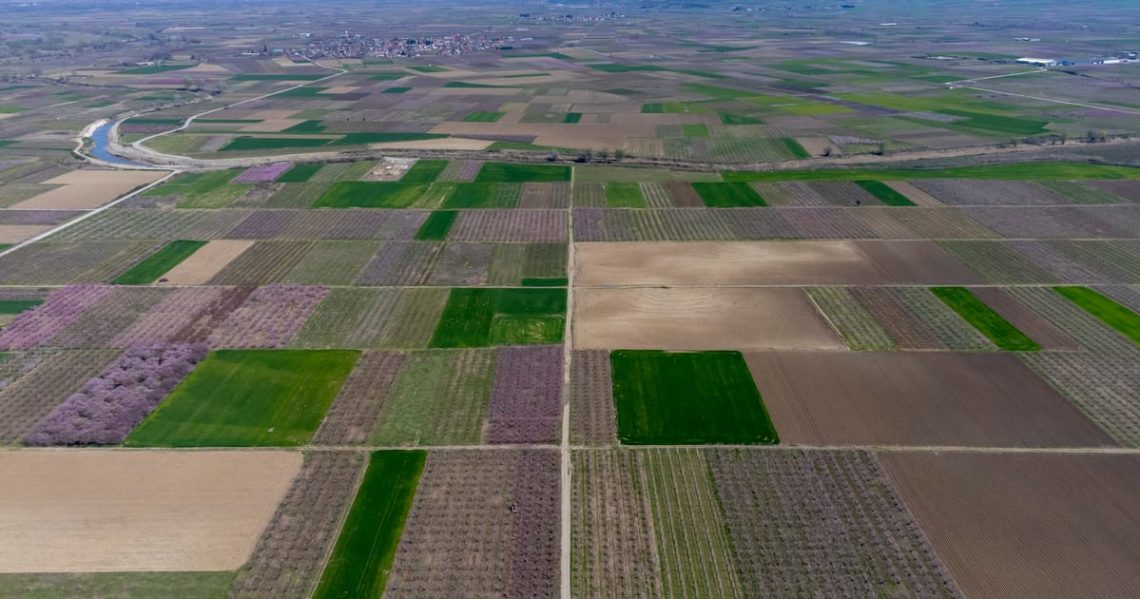 Dozens arrested over Greece’s farm fraud scandal