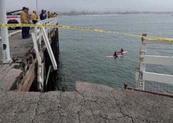 Driver dies, dog survives after vehicle goes over side of Santa Cruz Wharf in high surf