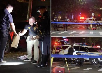 Driver fatally plows into granny crossing street in NYC, leaves her to die: cops