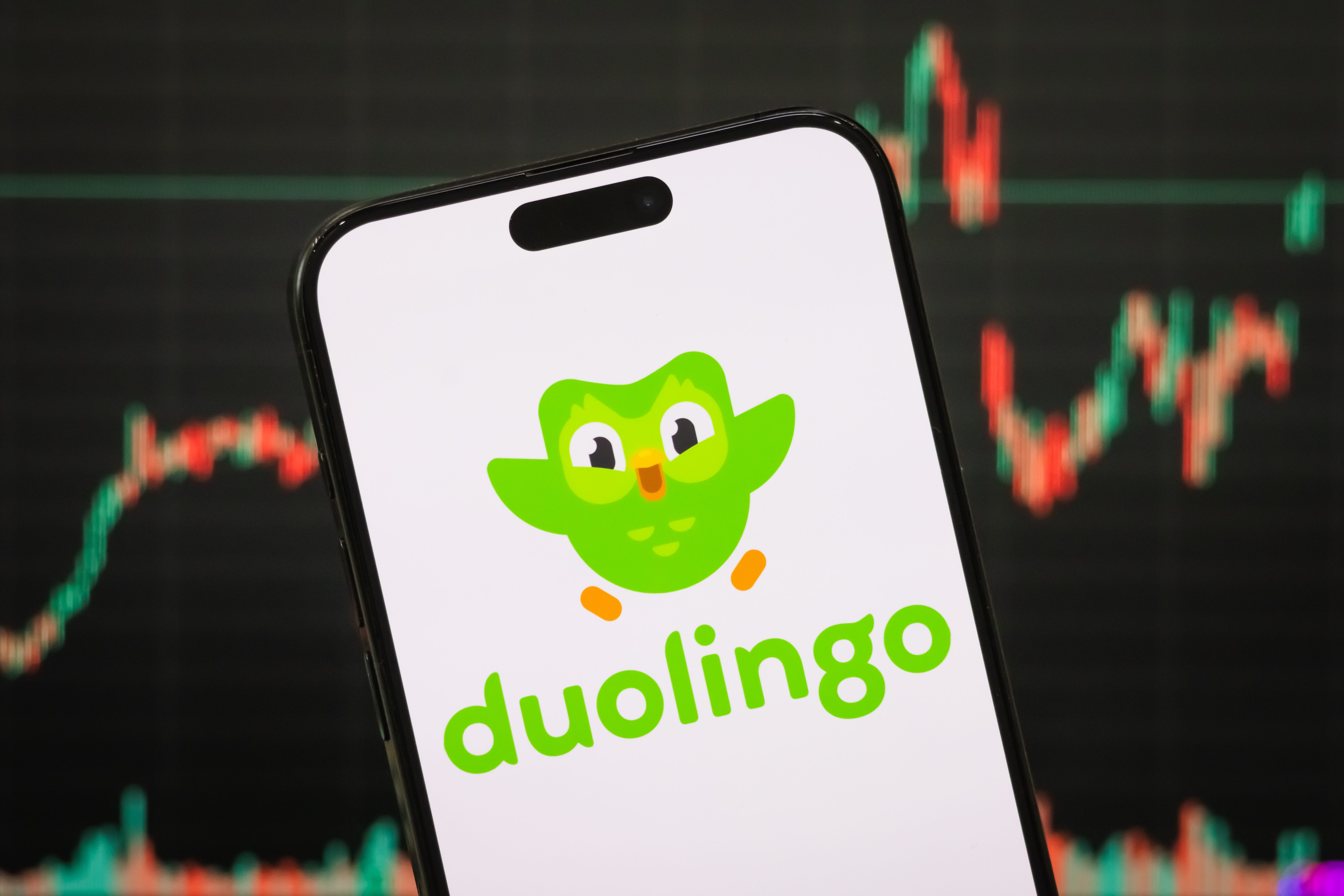 Duolingo mascot and logo