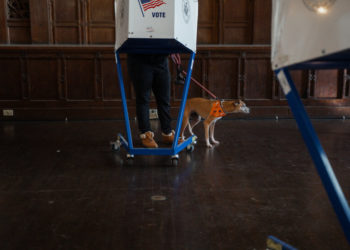 Early Voting Is Underway in the N.Y.C. Mayor Race. What Can It Tell Us?
