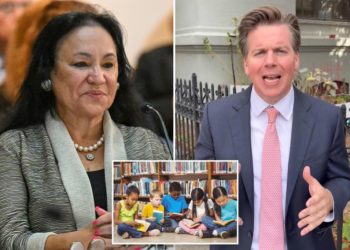 Empire State schools slow to adopt modern literacy curriculum, lawmaker alleges: ‘New York should be leading’