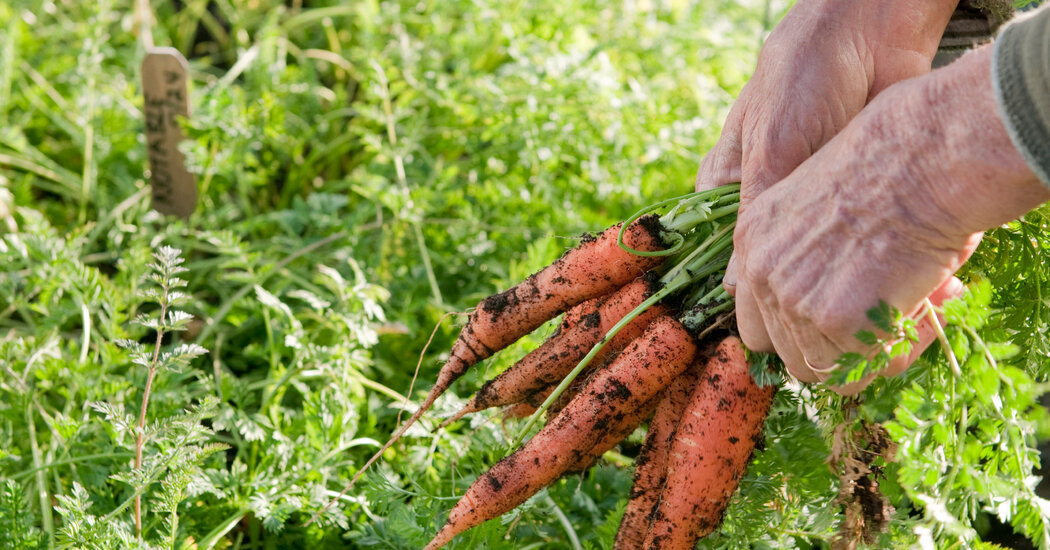 Essential Rules From a Champion of Organic Growing