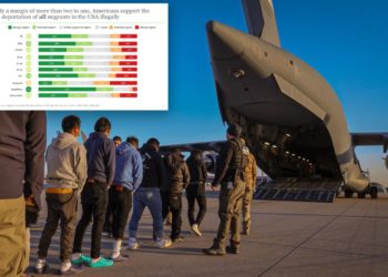 Even Democrats overwhelmingly support Trump’s deportation of criminal immigrants: poll