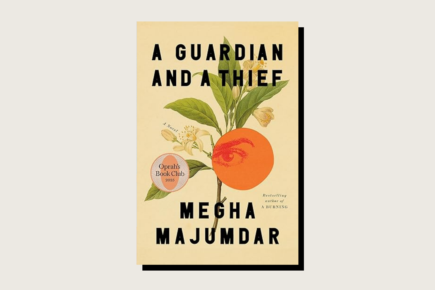 The book cover for A Guardian and a Thief