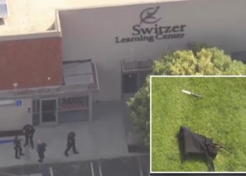 Ex-student allegedly stabs 3 staff members, plants bombs near California special needs school: police