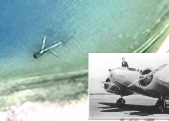 Expedition to locate Amelia Earhart’s plane on hold until next year: ‘Stay tuned!’
