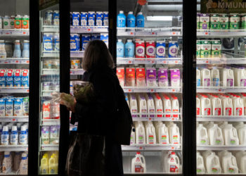 Federal Court to Rule on Fate of Food Stamps During the Shutdown