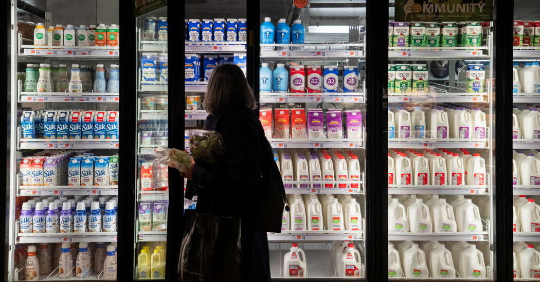 Federal Court to Rule on Fate of Food Stamps During the Shutdown