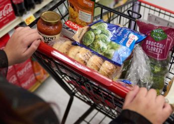 Federal food aid will not go out starting Nov. 1, USDA website alert says