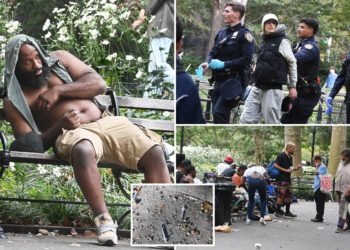 Feds crack down on Washington Square Park’s brazen drug market with 19 arrests
