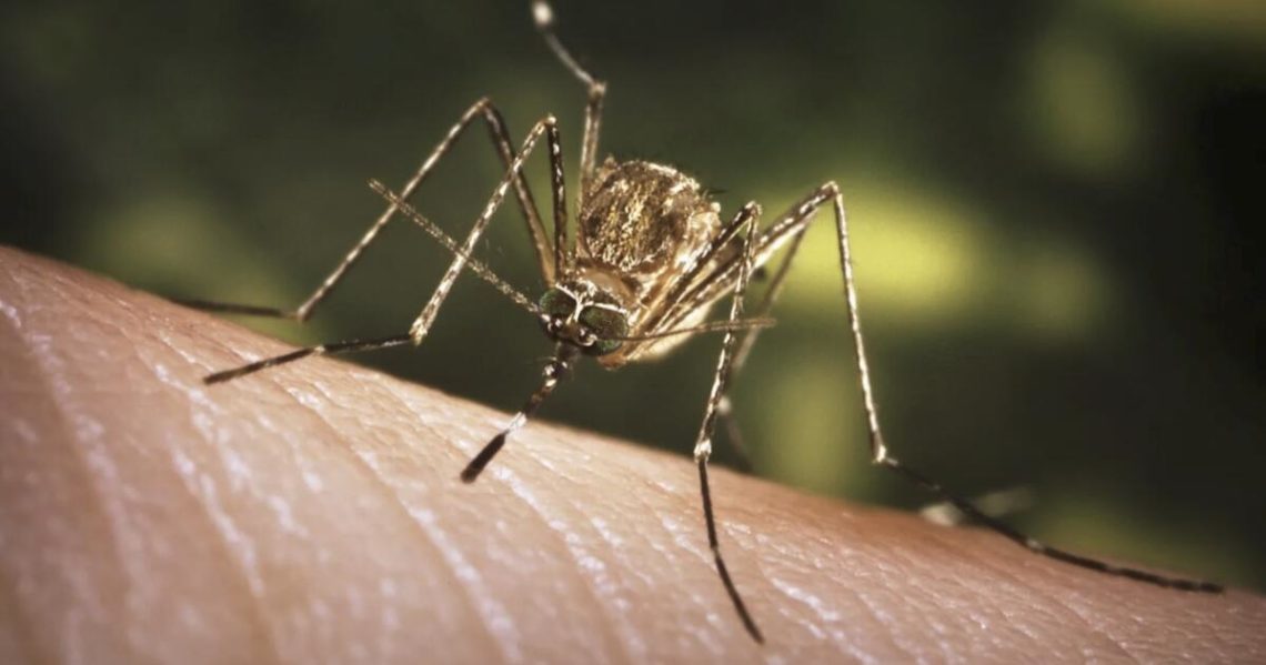 First West Nile virus death confirmed in L.A. County, as studies show that drought conditions may increase risk