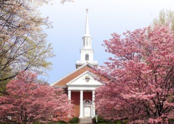 First college offers to join Trump’s academic excellence compact after others nationwide dodge agreement