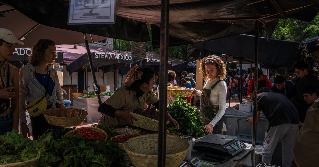 For These Women, the American Dream Is in Mexico City