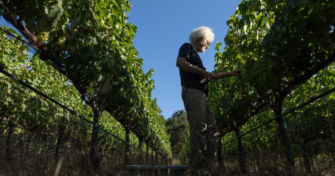 Goodbye, Pinot Noir — hello, Paseante Noir?