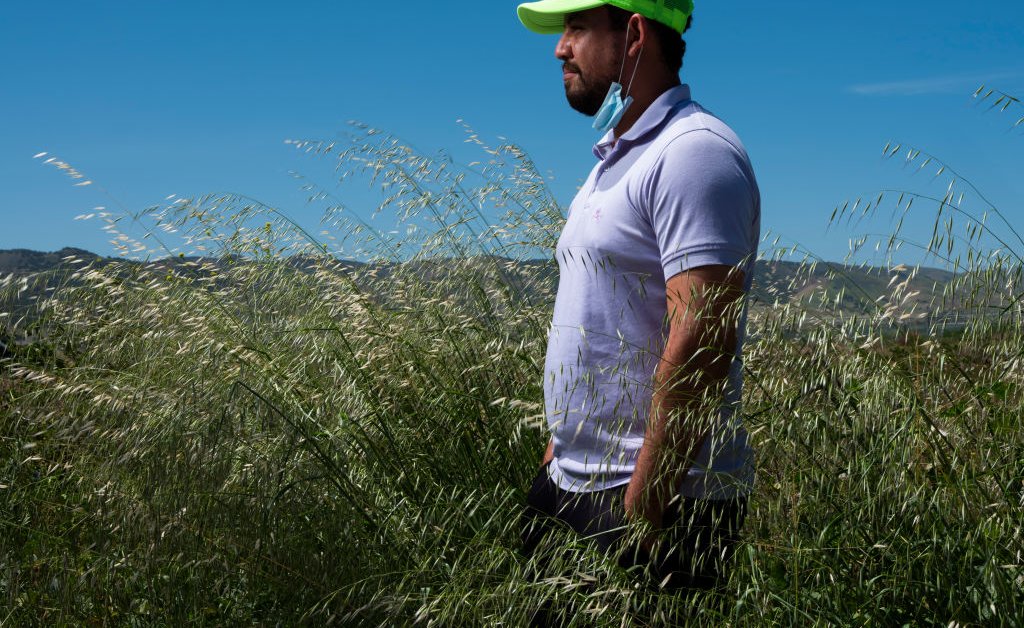 H-2A Visas Are Not The Solution to Trump’s Mass Deportation of Farmworkers