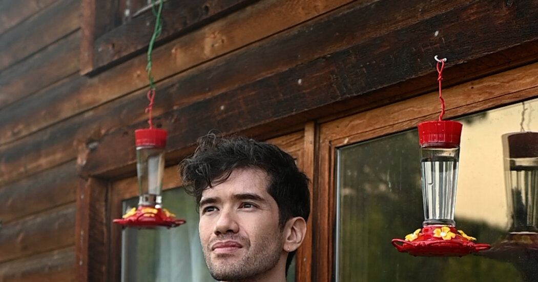 He Studied Why Some Female Birds Look Like Males