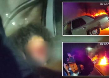 Heart-pounding video shows cop pull suspected DUI driver from  her burning car