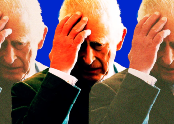 Heckler Assails King Charles About Andrew and Epstein’s Friendship